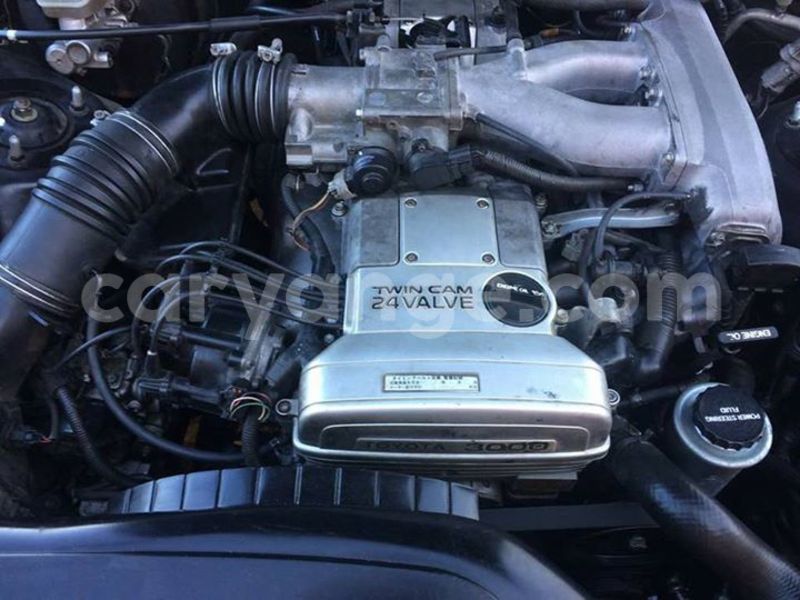 Big with watermark 17796439 1315154081906354 3590367499681648485 n