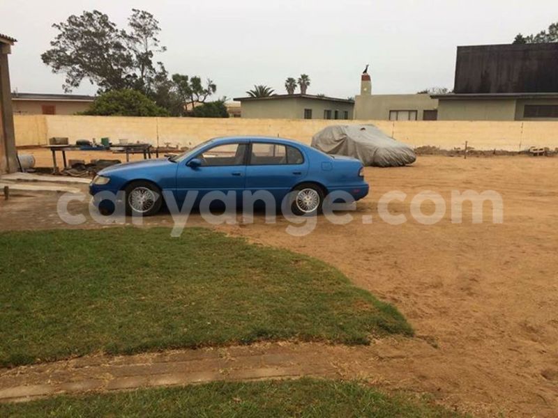 Big with watermark 17795701 10206966928850318 4670280897170890025 n