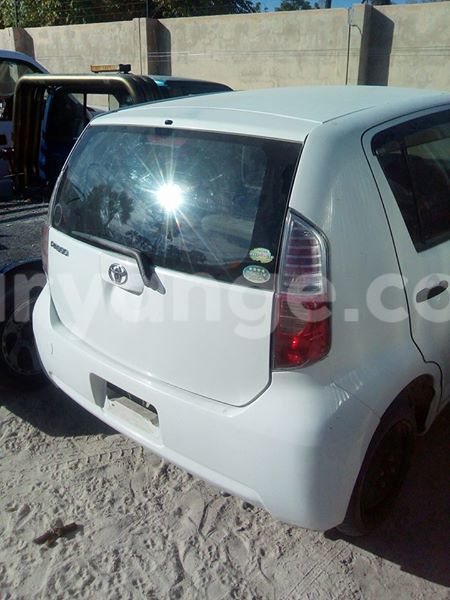 Big with watermark 17795701 10206966928850318 4670280897170890025 n