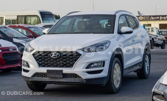 Buy Import Hyundai Tucson White Car in Import - Dubai in Namibia Buy Import Hyundai Tucson White Car in Import - Dubai in Namibia