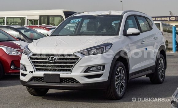 Buy Import Hyundai Tucson White Car in Import - Dubai in Namibia Buy Import Hyundai Tucson White Car in Import - Dubai in Namibia