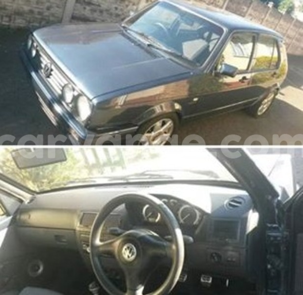 Big with watermark 18952779 709237862582138 3608237861038673941 n