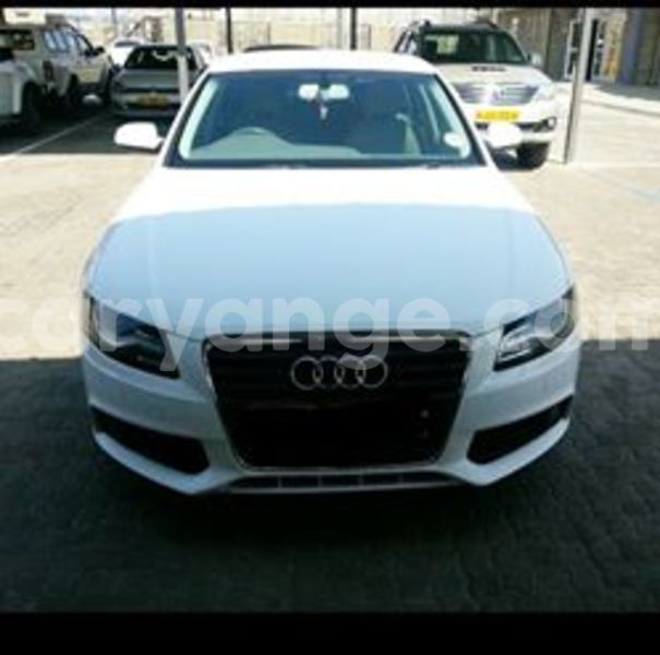 Big with watermark 17992303 10213159369367250 7977402664486951402 n