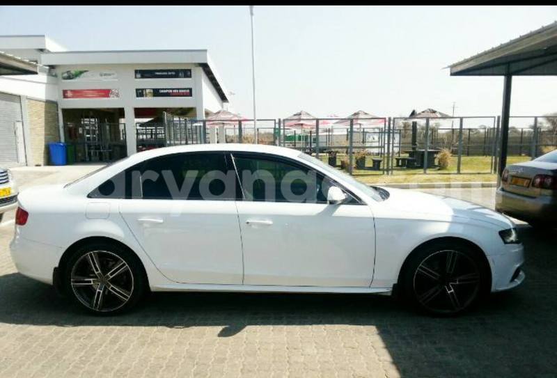 Big with watermark 18034023 10213159370687283 1229860662052262597 n