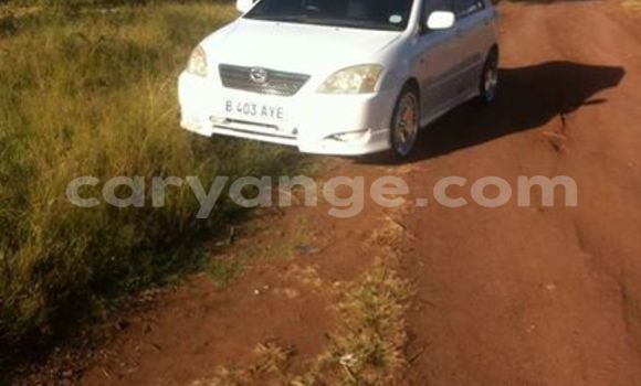 Buy Used Toyota Runx White Car in Windhoek in Namibia Buy Used Toyota Runx White Car in Windhoek in Namibia