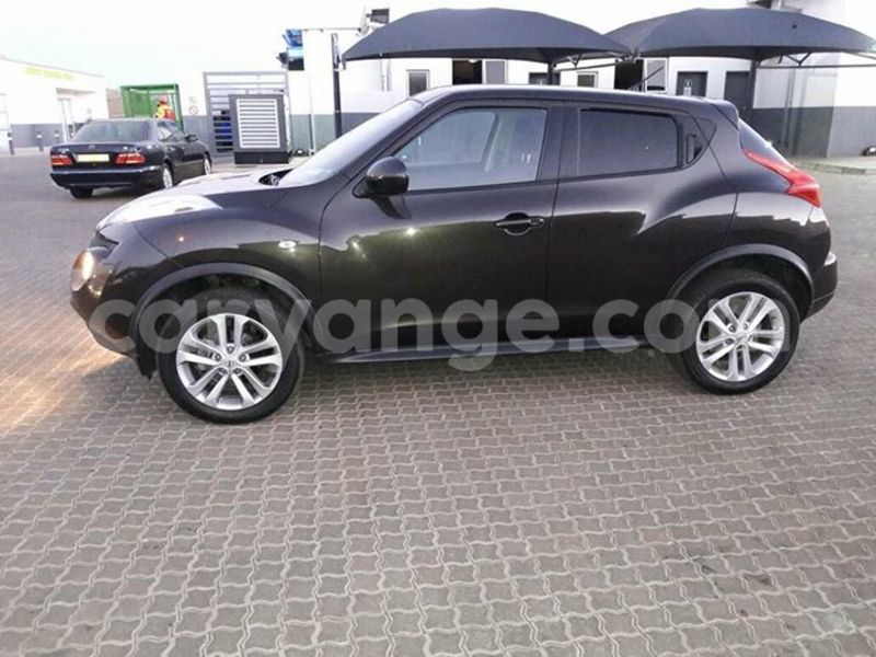 Big with watermark 18952779 709237862582138 3608237861038673941 n