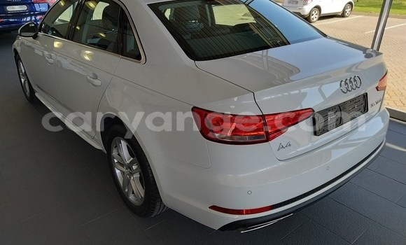 Buy Used Audi A4 White Car in Karasburg in Karas Buy Used Audi A4 White Car in Karasburg in Karas