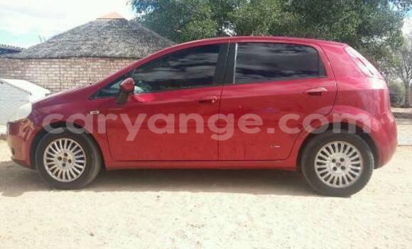 Buy Used Fiat Punto Red Car in Windhoek in Namibia