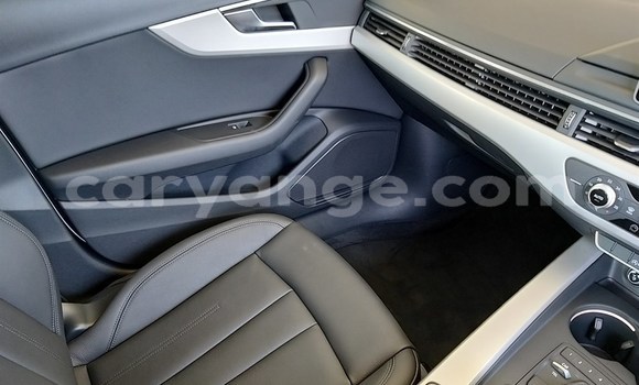 Buy Used Audi A4 White Car in Karasburg in Karas Buy Used Audi A4 White Car in Karasburg in Karas