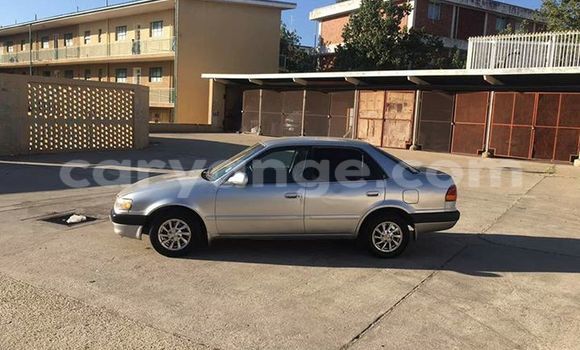 Acheter Occasion Voiture Toyota Corolla Gris à Windhoek, Namibie Acheter Occasion Voiture Toyota Corolla Gris à Windhoek, Namibie