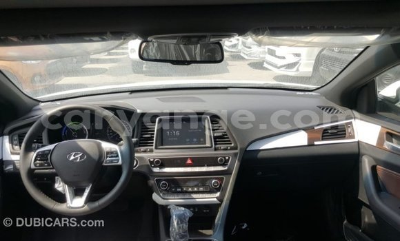 Buy Import Hyundai Sonata White Car in Import - Dubai in Namibia Buy Import Hyundai Sonata White Car in Import - Dubai in Namibia
