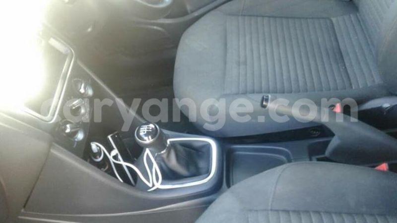 Big with watermark 19030339 709237869248804 8378660185752961642 n