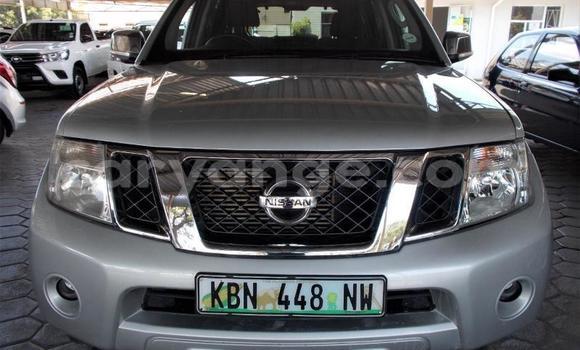 Acheter Occasion Voiture Nissan Pathfinder Gris à Windhoek, Namibie Acheter Occasion Voiture Nissan Pathfinder Gris à Windhoek, Namibie