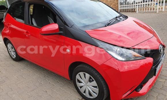 Buy Used Toyota Aygo Red Car in Windhoek in Namibia Buy Used Toyota Aygo Red Car in Windhoek in Namibia