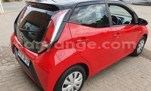 Buy Used Toyota Aygo Red Car in Windhoek in Namibia Buy Used Toyota Aygo Red Car in Windhoek in Namibia