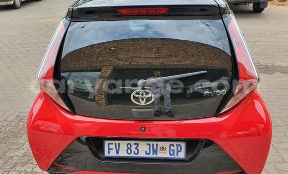 Buy Used Toyota Aygo Red Car in Windhoek in Namibia Buy Used Toyota Aygo Red Car in Windhoek in Namibia