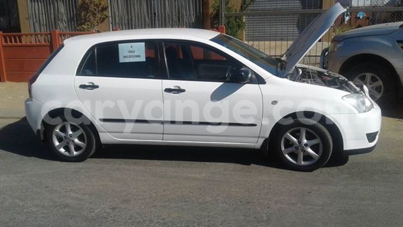 Big with watermark 18952779 709237862582138 3608237861038673941 n