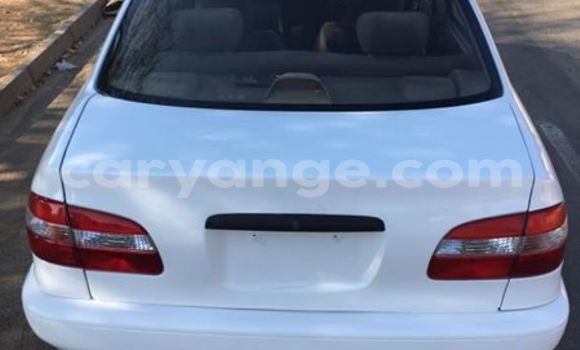 Acheter Occasion Voiture Toyota Corolla Blanc à Windhoek, Namibie Acheter Occasion Voiture Toyota Corolla Blanc à Windhoek, Namibie