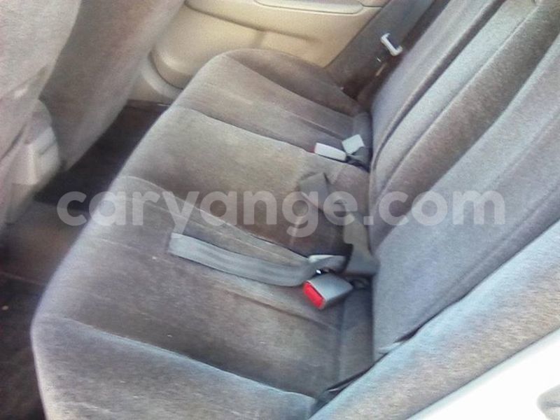 Big with watermark 18954797 10109901822210850 5806381462207131836 o