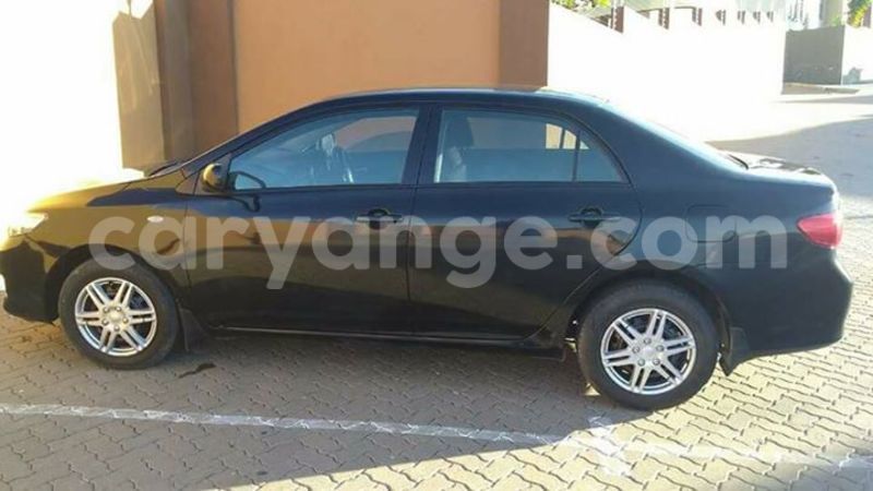 Big with watermark 18954797 10109901822210850 5806381462207131836 o