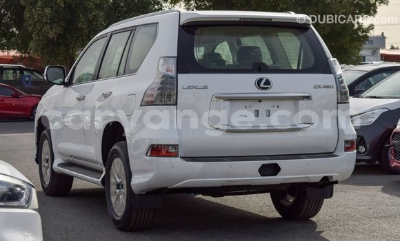 Buy Import Lexus GX White Car in Import - Dubai in Namibia Buy Import Lexus GX White Car in Import - Dubai in Namibia
