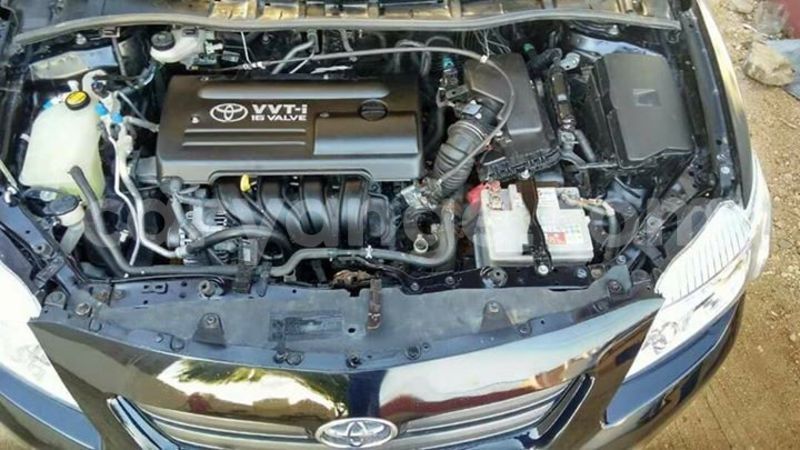 Big with watermark 19030339 709237869248804 8378660185752961642 n