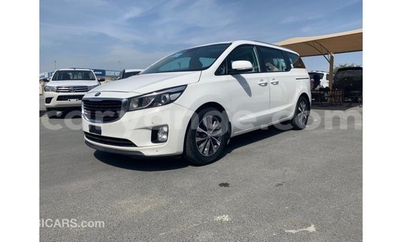 Buy Import Kia Carnival White Car in Import - Dubai in Namibia Buy Import Kia Carnival White Car in Import - Dubai in Namibia