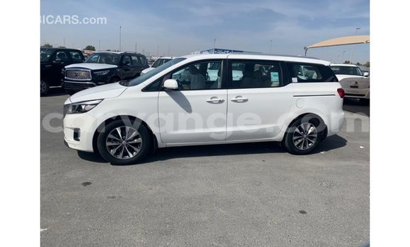 Buy Import Kia Carnival White Car in Import - Dubai in Namibia Buy Import Kia Carnival White Car in Import - Dubai in Namibia