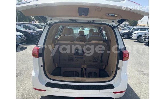 Buy Import Kia Carnival White Car in Import - Dubai in Namibia Buy Import Kia Carnival White Car in Import - Dubai in Namibia