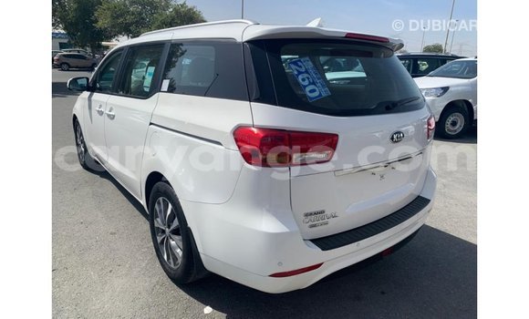 Buy Import Kia Carnival White Car in Import - Dubai in Namibia Buy Import Kia Carnival White Car in Import - Dubai in Namibia