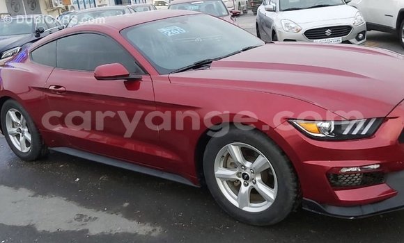 Buy Import Ford Mustang Red Car in Import - Dubai in Namibia Buy Import Ford Mustang Red Car in Import - Dubai in Namibia