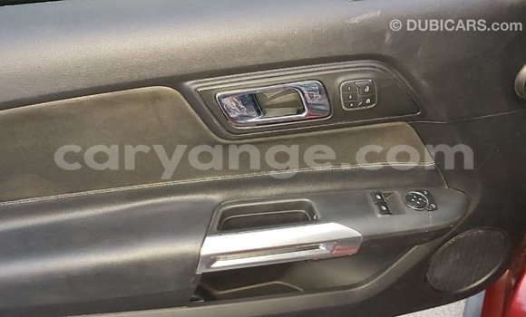 Buy Import Ford Mustang Red Car in Import - Dubai in Namibia Buy Import Ford Mustang Red Car in Import - Dubai in Namibia