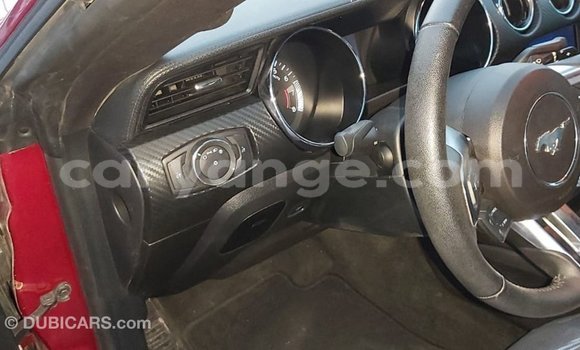Buy Import Ford Mustang Red Car in Import - Dubai in Namibia Buy Import Ford Mustang Red Car in Import - Dubai in Namibia