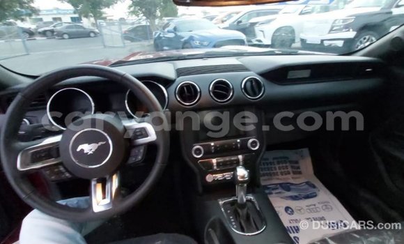 Buy Import Ford Mustang Red Car in Import - Dubai in Namibia Buy Import Ford Mustang Red Car in Import - Dubai in Namibia