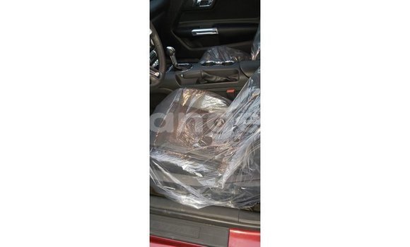 Buy Import Ford Mustang Red Car in Import - Dubai in Namibia Buy Import Ford Mustang Red Car in Import - Dubai in Namibia