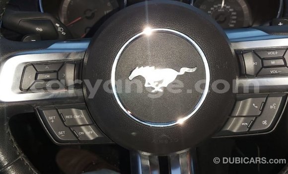 Buy Import Ford Mustang Red Car in Import - Dubai in Namibia Buy Import Ford Mustang Red Car in Import - Dubai in Namibia