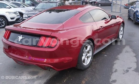 Buy Import Ford Mustang Red Car in Import - Dubai in Namibia Buy Import Ford Mustang Red Car in Import - Dubai in Namibia