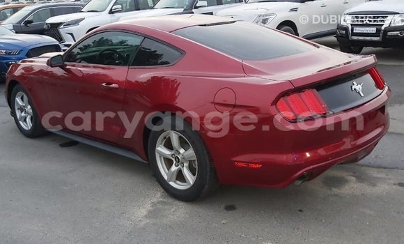 Buy Import Ford Mustang Red Car in Import - Dubai in Namibia Buy Import Ford Mustang Red Car in Import - Dubai in Namibia