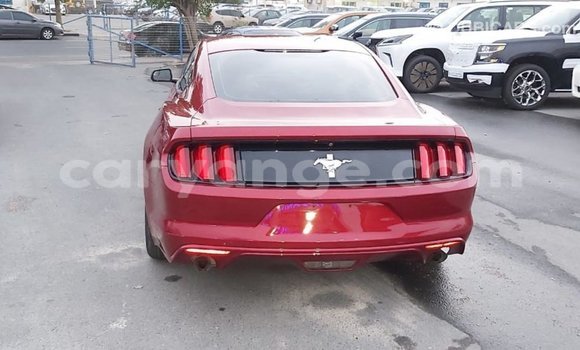 Buy Import Ford Mustang Red Car in Import - Dubai in Namibia Buy Import Ford Mustang Red Car in Import - Dubai in Namibia