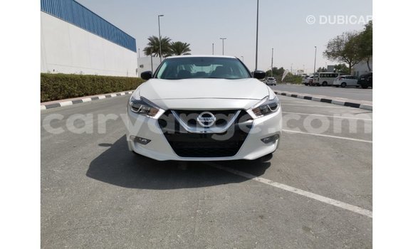 Acheter Import Voiture Nissan Maxima Blanc à Import - Dubai, Namibie Acheter Import Voiture Nissan Maxima Blanc à Import - Dubai, Namibie