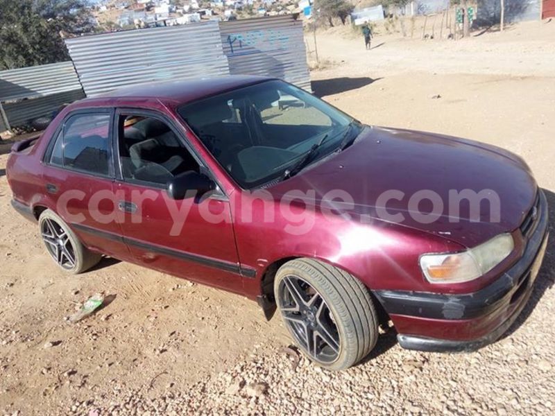 Big with watermark 18954797 10109901822210850 5806381462207131836 o