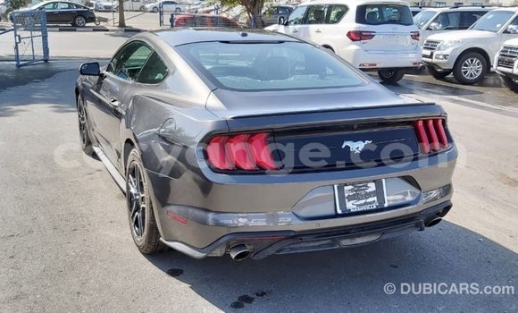 Buy Import Ford Mustang Other Car in Import - Dubai in Namibia Buy Import Ford Mustang Other Car in Import - Dubai in Namibia