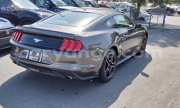 Buy Import Ford Mustang Other Car in Import - Dubai in Namibia Buy Import Ford Mustang Other Car in Import - Dubai in Namibia