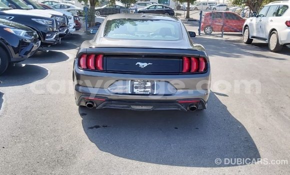 Buy Import Ford Mustang Other Car in Import - Dubai in Namibia Buy Import Ford Mustang Other Car in Import - Dubai in Namibia