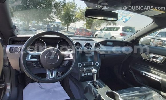 Buy Import Ford Mustang Other Car in Import - Dubai in Namibia Buy Import Ford Mustang Other Car in Import - Dubai in Namibia