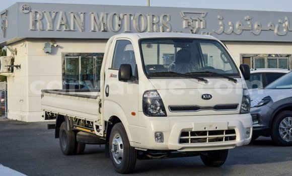 Buy Import Kia Picanto White Car in Import - Dubai in Namibia Buy Import Kia Picanto White Car in Import - Dubai in Namibia