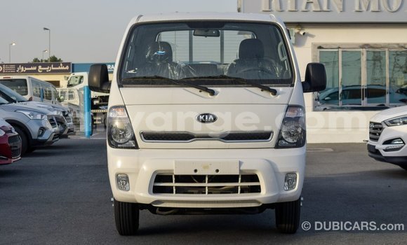 Buy Import Kia Picanto White Car in Import - Dubai in Namibia Buy Import Kia Picanto White Car in Import - Dubai in Namibia