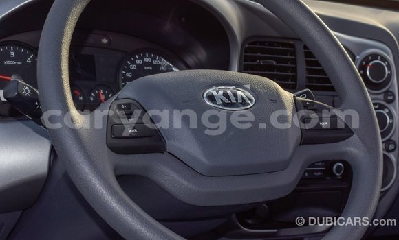 Buy Import Kia Picanto White Car in Import - Dubai in Namibia Buy Import Kia Picanto White Car in Import - Dubai in Namibia