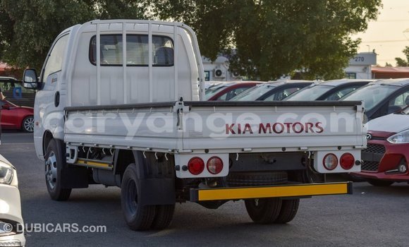 Buy Import Kia Picanto White Car in Import - Dubai in Namibia Buy Import Kia Picanto White Car in Import - Dubai in Namibia