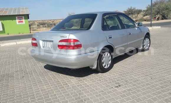 Buy Used Toyota Corolla Silver Car in Windhoek in Namibia Buy Used Toyota Corolla Silver Car in Windhoek in Namibia